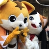 「じゅん散歩」で戸越銀座。