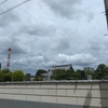 (其角) まんぢゅうで人を尋ねよ山ざくら(其角)