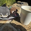 天気がよかったのでふらふらと歩いてみました