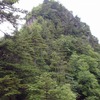 諏訪山・三ッ岩岳（西上州）の花々　　2012.5.13,   2016.6.19