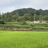 朝歩いても汗だくなら走る