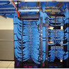 Proper Management of Fiber Patch Cord