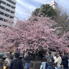 アジアな空間　その２０３５６　桜のパトロール　その１