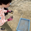 収穫祭①両手にじゃがいも、かわいい息子