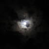 夜の虹