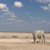 🇳🇦ナミビア〜Etosha nationalpark〜🦁 Day1 ゲームサファリGame Safari