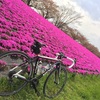 荒川サイクリングロード