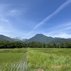 2025/06/06 金曜日　光城山に登る