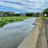 小鹿公園の二ツ池（静岡県静岡）