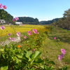 南小国町の田園風景〜実り