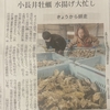 【小長井牡蠣出荷はじまる！！】仲間に贈ります！！
