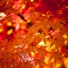 秋は新しいことをはじめる季節。「○○の秋」と言われる理由は？