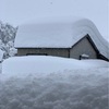 新潟県上越市の大雪