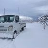 今年は雪が多い