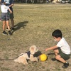 貸し切りの公園