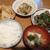 マーボーナスの晩ご飯