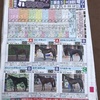 阪神ジュベナイルフィリーズ2018競馬新聞馬サブロー予想オッズ画像