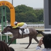 リトルリリイ新馬戦は３人気も離された４着。でも頑張りました！