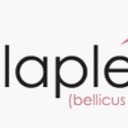 Bellaplex Reviews