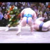 頑張れ！稀勢の里