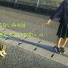 いつもの道🐾