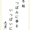 冬桜つぼみに夢をいっぱいに