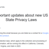 Googleアドセンス「Important updates about new US State Privacy Laws」