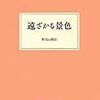 『遠ざかる景色』　野見山暁治