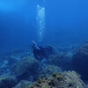 カメラ持ってナズマド二本: Two Dives at Nazumado with a Camera 