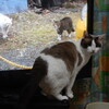 2024-10-12(Sat)