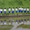 田植えの体験学習