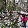 関西の雪山事情 part.1