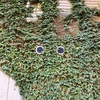 🌳👀🌳　2023/11/26