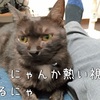 愛し方、愛され方