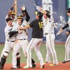阪神タイガース（2023）中日戦～素晴らしい走塁と4番の一振りで接戦をモノに～【プロ野球】