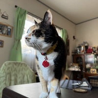 三連休なのに・・・