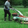 【農作業日誌】いちじく畑の草刈り作業｜夏は草との戦い！