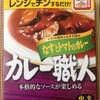 8日目：カレー職人なすとトマトのカレー 中辛