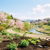 学んだことは、使ってこそ意味がある