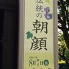 「伝統の朝顔」展