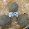 4月末遅植えでインカのめざめ栽培の結果(2023)