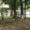 下保谷森林公園