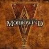 MorrowindをPCOTで日本語訳して遊ぶ【OpenMWという福音】