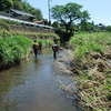 荒川水系採集