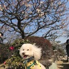 中山寺奥の院