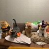 ハッピーハロウィン🎃