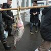 にかほ市金浦の「掛魚まつり」を見にいく