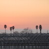 三豊干拓地の夕景色