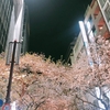 むかちん☆東京の夜桜♪♪
