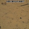 巻貝が描く《幻の地図》（幻想的着想メモ）